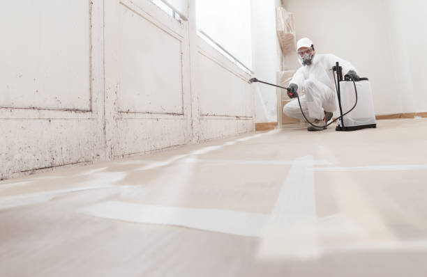 24/7 Emergency Black Mold Remediation experts in Salisbury, NC