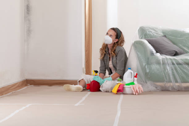 Reliable Black Mold Remediation contractor in Salisbury, NC by 24 Hour Mold Removal
