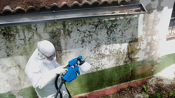 Top rated local Black Mold Remediation specialists in Salisbury, NC
